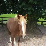 The Stable Cannaway House
