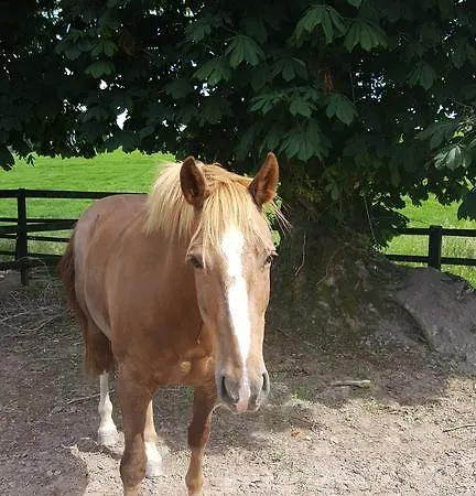 The Stable Cannaway House