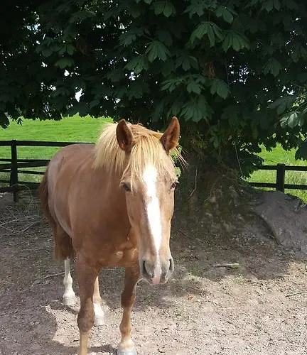 The Stable Cannaway House